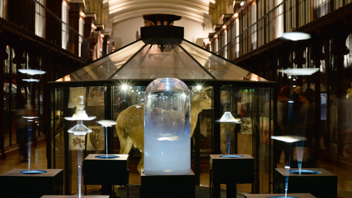 THE TIME THAT REMAINS | Musée d’Histoire Naturelle de Paris, Paris (France) | 2015