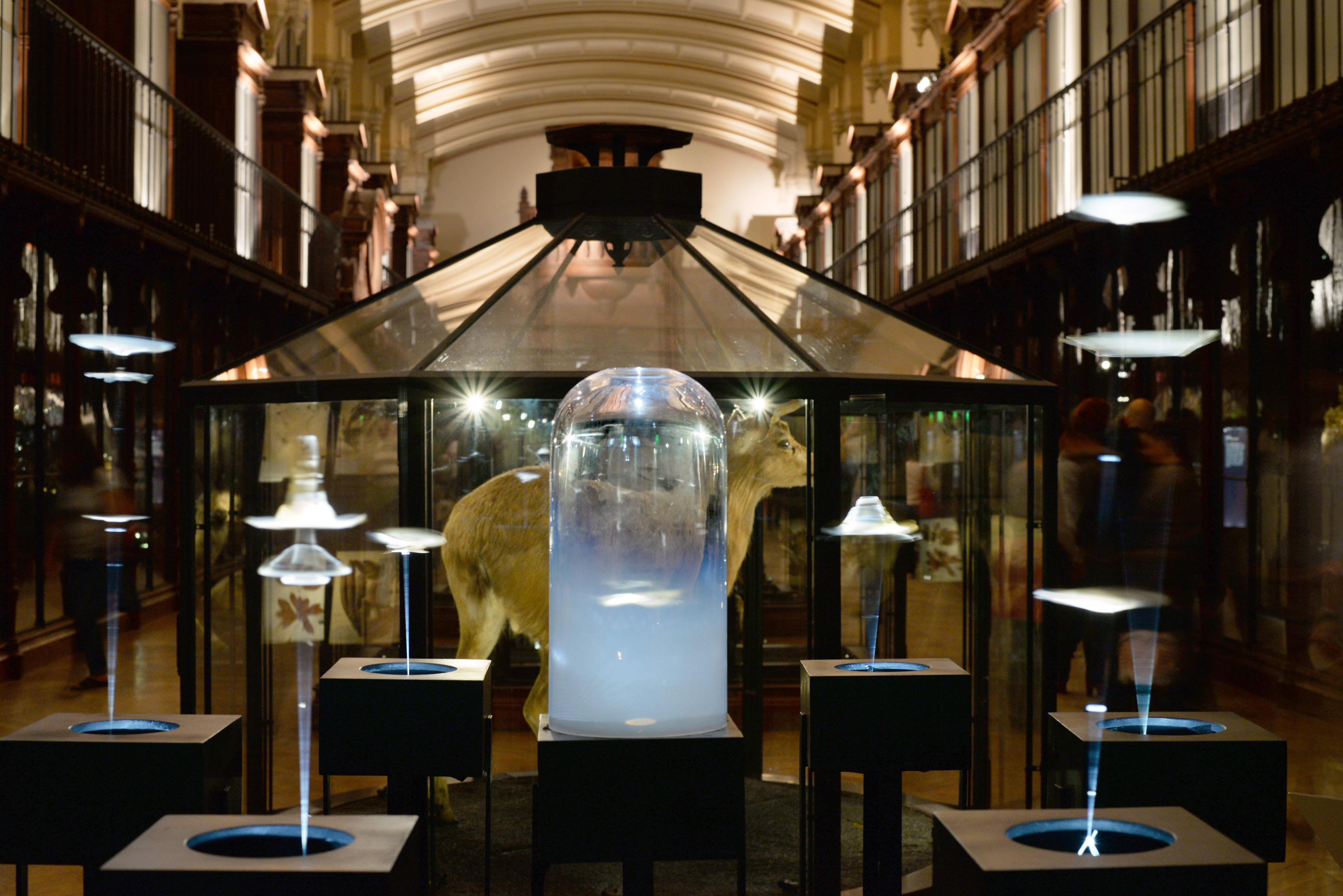LE TEMPS QUI RESTE | Musée d’Histoire Naturelle de Paris, Paris (France) | 2015